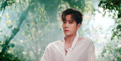 王嘉尔被网红爆料了视频,王嘉尔被网红爆料视频引发热议