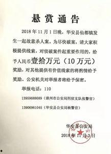 厦门爆料被悬赏事件最新,真相大白，幕后黑手浮出水面